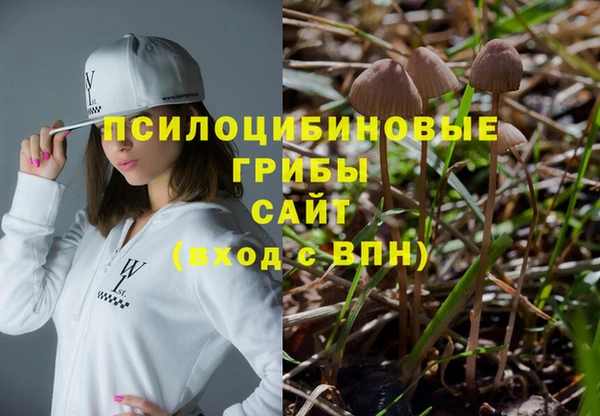 стаф Богородицк