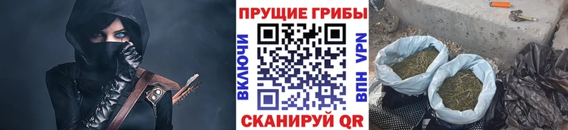 кракен вход Клинцы Псилоцибиновые грибы Psilocybe